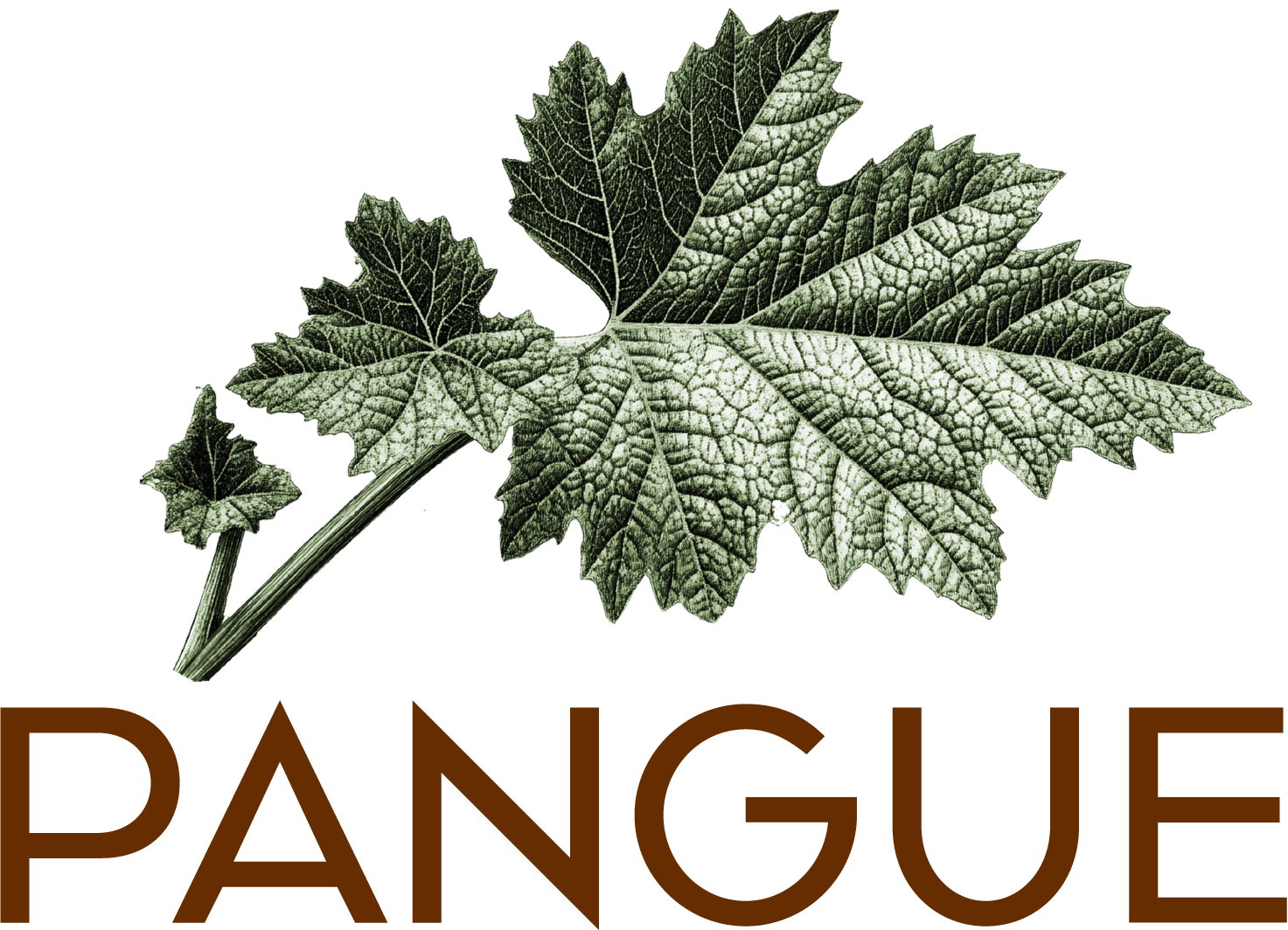 Pangue